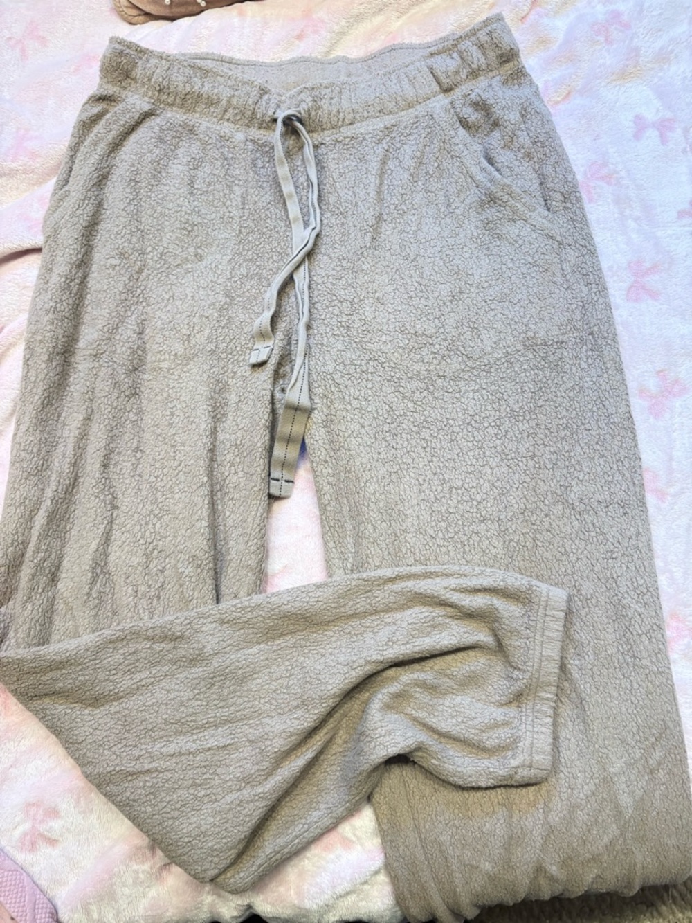 American Eagle Outfitters Light Taupe Cozy Jogger Pants